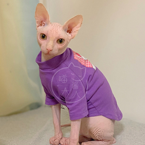 【喵酱大人】春夏斯芬克斯防晒服无毛猫衣服宠物猫紫色萌宠猫衣服