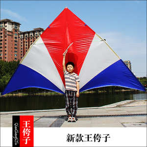 2022新品潍坊王侉子544软伞布碳杆大型成人长尾初学微风好飞风筝