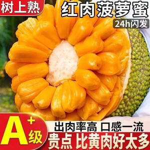 越南红肉菠萝蜜一整个新鲜水果包邮波罗蜜当季18斤泰国特产红黄心