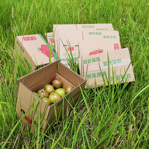 水果纸箱东留四堡芙蓉李子专用五5斤装邮政快递打包纸箱包装纸盒