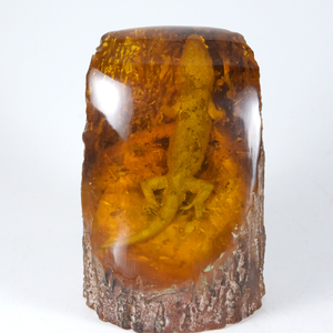 人造琥珀壁虎标本树脂工艺品 真昆虫动物原石化石虫珀摆件