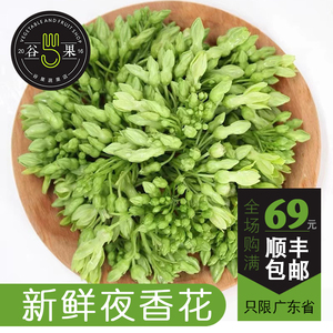 夜来香花食用