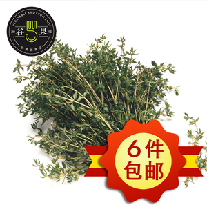 【谷果】新鲜 百里香50g  香叶Thyme 麝香草山椒 西餐香料 健身餐