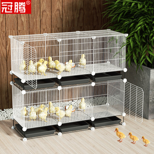 雏鸡笼加密防鼠笼子自动清粪家用育雏养鸡养鸭鹌鹑鸽子鹦鹉宠物笼