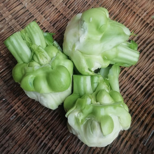 重庆新鲜榨菜头5斤包邮农家自种青菜头羊角菜菱角菜芥菜咸菜食用