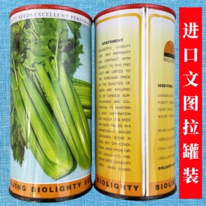 进口文图拉芹菜种子寿光蔬菜种子100克高产芹菜西芹种籽青菜美国