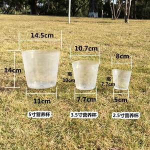 蝴蝶兰花盆兰花营养杯石斛专用透明白色营养杯育苗袋塑料营养钵