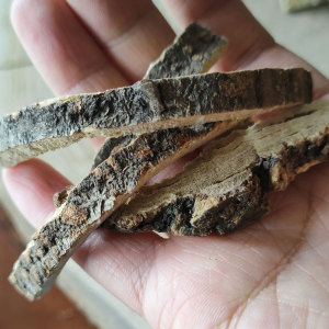 无硫生合欢皮野生00g克可打粉中药材合欢花树皮合昏皮合欢木皮