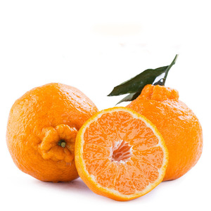 四川眉山不知火丑柑新鲜柑橘丑八怪桔子大果