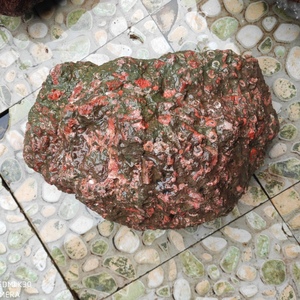 红珊瑚化石玉图片大全图片