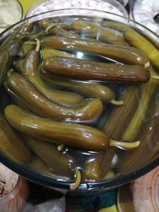 云南 特产 泡水果黄瓜 腌制黄瓜 迷你小黄瓜 酸甜脆送蘸料包邮