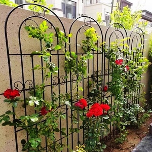铁线莲爬藤架蔷薇月季种植花园栅栏户外花架支撑杆铁艺植物攀爬架
