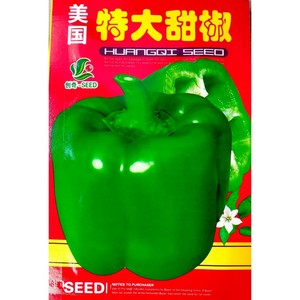 甜椒种子圆椒种子柿子椒小包装原包装袋装种子家庭菜园蔬菜种子