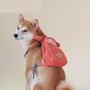 小狗宠物狗狗背包自背包小型亍早包包小型犬狗用泰迪小书包大型犬