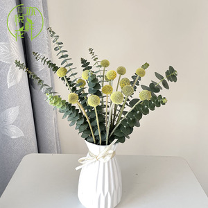 尤加利叶黄金球鲜花