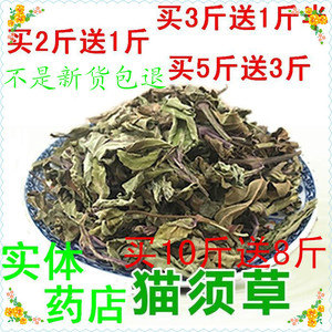 新鲜正品猫须草茶中药材肾茶化石草非野生云南西双版纳500g包邮