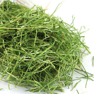 紫花苜蓿草杆段500g宠物磨牙草杆兔子龙猫粮草干草苜蓿草4份包邮