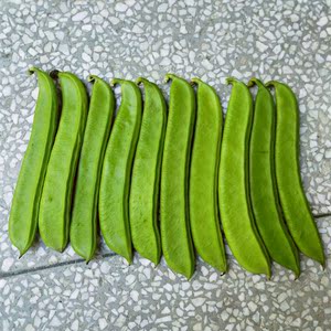 新鲜刀豆现货5斤包邮湖北农家自种时令菜剁椒原料刀把节刀吧豆结