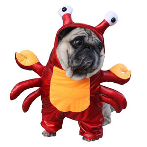 新款万圣节宠物衣服狗狗猫咪搞怪螃蟹立体变身装直立带帽小龙虾