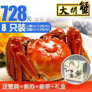 现货阳澄湖镇大闸蟹鲜活超大公蟹5两全母螃蟹4.0-4.