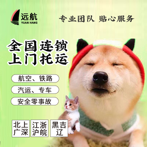 宠物托运服务全国上门接送专车运输空运猫狗兔子上门托运