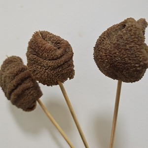 火锅串串新品鸡毛肚素肚鸡副产品一件12斤大约750~800个