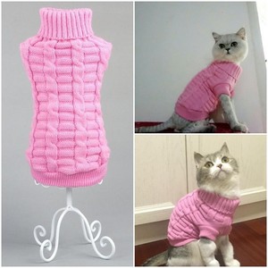 无毛猫针织衣服