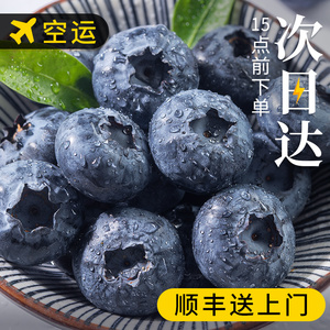 顺丰空运 蓝莓鲜果新鲜高端水果当季蓝梅高山整箱包邮非云南野果
