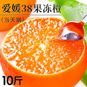 爱媛38号果冻橙新鲜橙子水果当季整箱四川甜柑橘10斤批发大果包邮