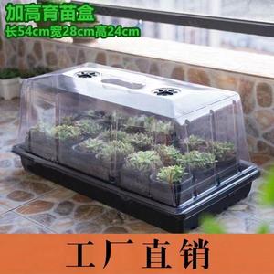育苗盒带盖透明植物保温育苗箱闷养盖子花卉扦插育苗盘保湿暖房盖