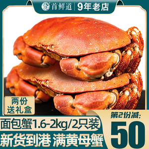 面包蟹鲜活熟冻大螃蟹黄金蟹新鲜海鲜水产特大超大母蟹珍宝黄油蟹