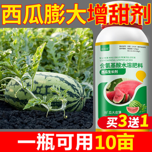 西瓜膨大增甜剂瓜类甜瓜西瓜香瓜膨大素防裂增甜着色剂早熟叶面肥