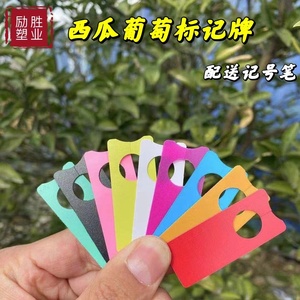 新款西瓜标记牌葡萄记号卡甜瓜授粉分色卡记号牌塑料材质农业包邮
