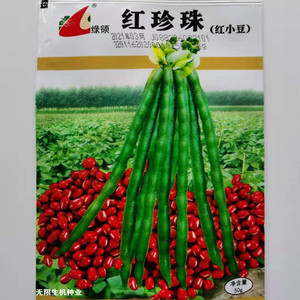 红小豆种子绿豆种籽 南京绿领种业 大田春夏季播种农作物籽种包邮