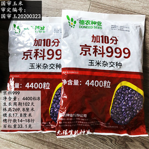 辰曦种业淘宝玉米种籽大全高产杂交正品早熟水果香甜玉米种子草莓