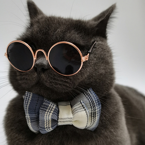 宠物猫搞怪酷眼镜狗狗猫咪可爱萌帅墨镜抖音网红个性配饰拍照道具