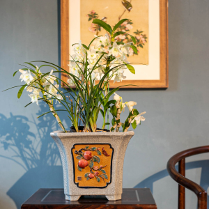 陶一峰11.5寸倭角方兰盆手工贴花贴字仿古石湾传统中式兰花室内