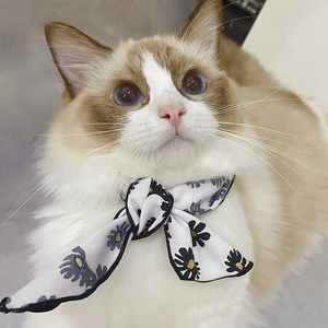 猫咪围脖装饰品宠物蝴蝶结丝巾布偶猫配饰猫咪脖饰猫脖圈猫咪围巾
