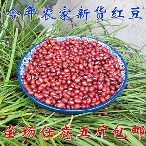 农家自产红小豆沂蒙山大粒红豆非赤小豆五谷杂粮500g