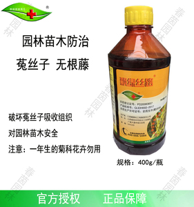 飘绿丝路 园林苗木乔木绿篱 防除菟丝子无根藤黄丝藤 专用除草剂