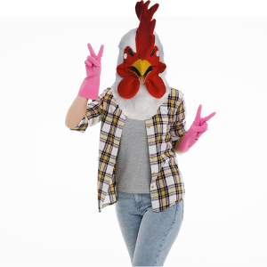 鸟头饰卡通化妆舞会酒吧表演道具动物鹦鹉公鸡猫头鹰头套1人付款50