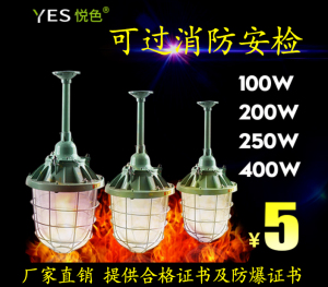 吊杆式led防爆灯100w50w200w仓库防爆灯罩灯泡隔爆型机床工厂房