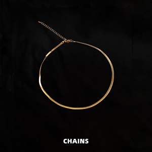 chains枷锁 欧美冷淡系金色宽扁项链女夏简约蛇骨链短款锁骨链女