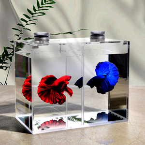 亚克力斗鱼pk缸水族箱微景观淡水生态养殖缸桌面懒人迷你热带鱼缸