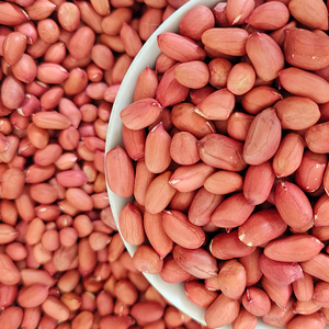 红衣花生米生新货四粒红