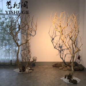 去皮天然干树枝庭院造景树装饰枯枝壁挂墙饰橱窗摆件枯树摄影道具