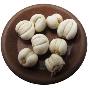 野生川贝母10克52元 松贝母 怀中抱月四川阿坝珍珠贝 无硫