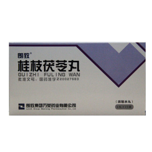 桂枝茯苓丸朗致
