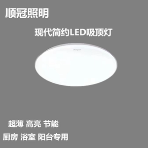 顺冠照明led吸顶灯超亮简约现代家用客厅卧室灯具圆形楼梯阳台灯