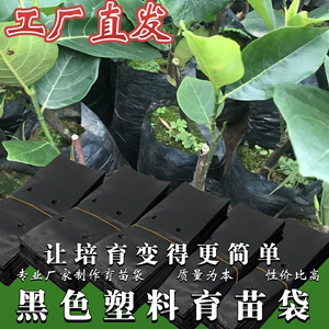 育苗袋桉树水果育苗袋槟榔营养袋黑色一次性加厚种植袋树苗营养袋